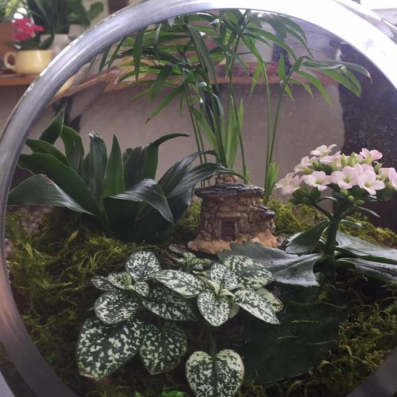 Meet your Posher, Kathleen - Picture 1 of 1